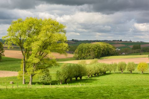 Wisselvallig weer aan de Taaienberg