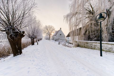 Winters tafreel langs de Damse Vaart