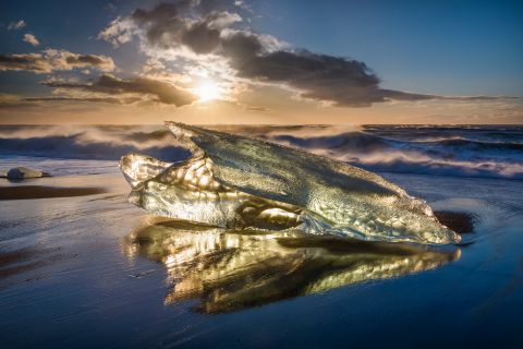 IJsblok op strand