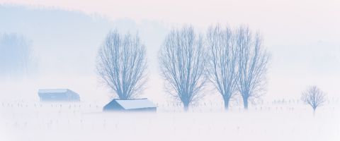 Winter in de Langemeersen