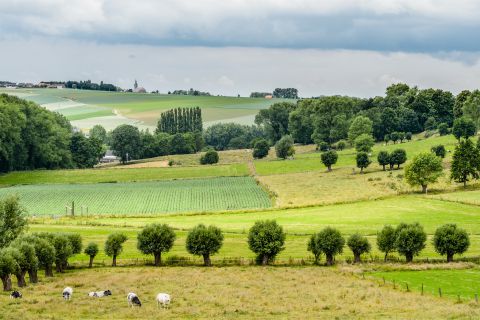 Zicht vanaf de Taaienberg