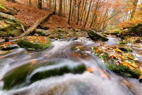 Rivier tijdens de herfst