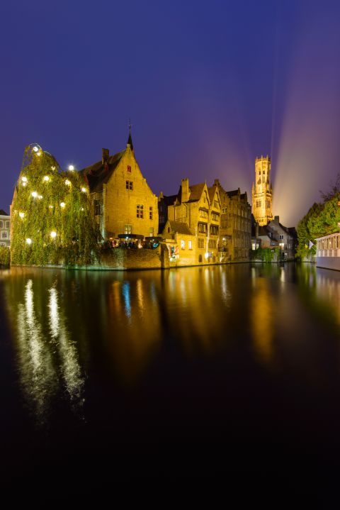 De dijver in Brugge bij nacht