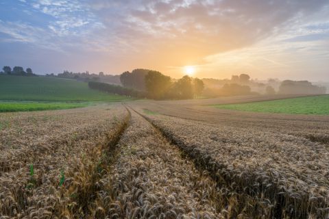 Sunrise at the Boigneberg