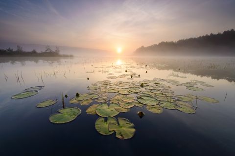 Sunrise in nature reserve the Teut