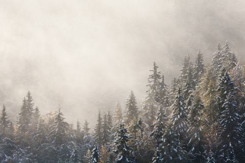 Regenmist in Slovenië