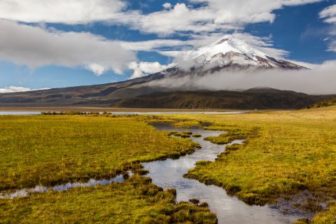 Cotopaxi vulkaan